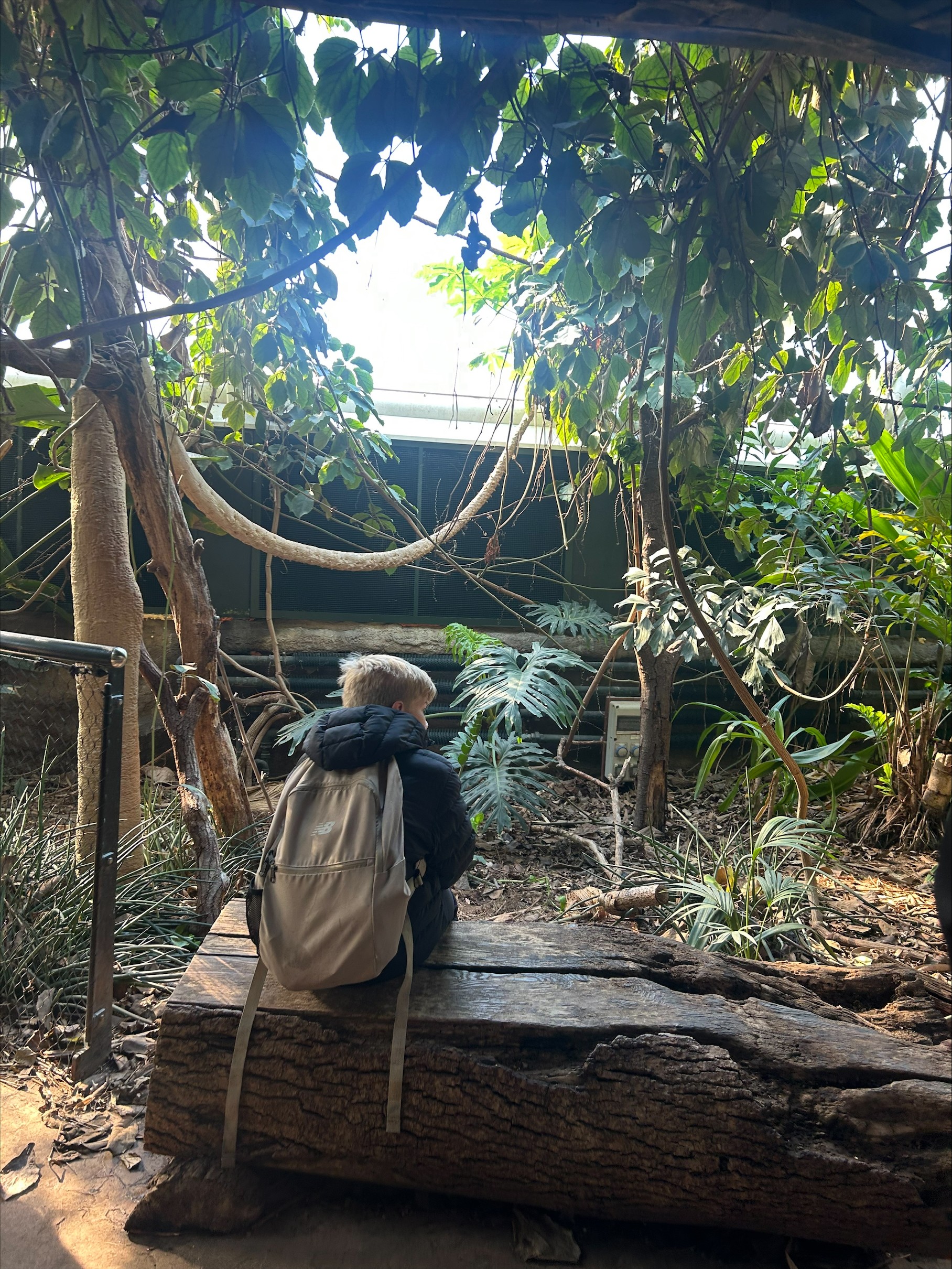 Enrichment activity