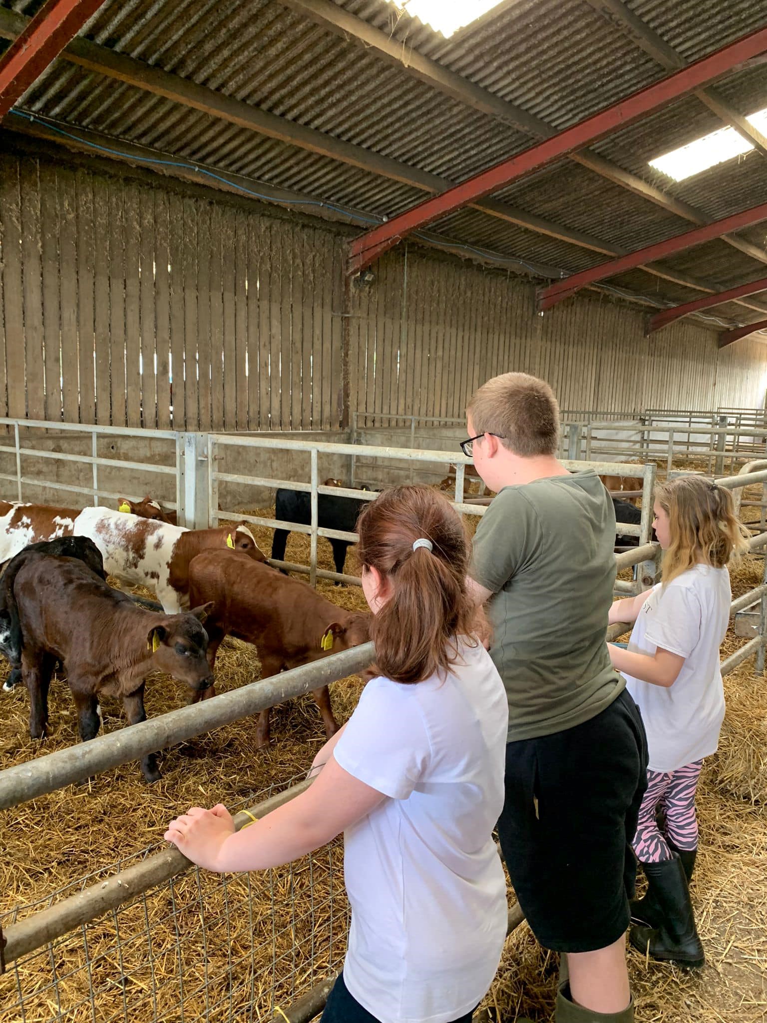 Learning at the farm